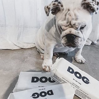 DOG Wipes