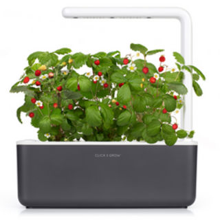 Click & Grow Smart Garden 3 Self Watering Indoor Garden in Grey at Nordstrom