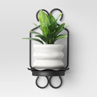 16" Iron Outdoor Wall Planter Black Opalhouse designed with Jungalow