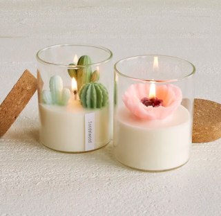 Terrarium Candle