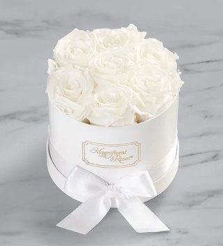 Magnificent Roses® Preserved White Roses