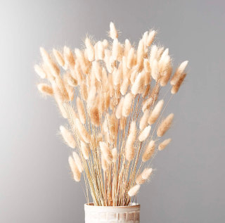 Bunnies Tail Taupe Bunch 28"