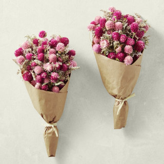 Dried Pink Strawflower Bouquet, Set of 2