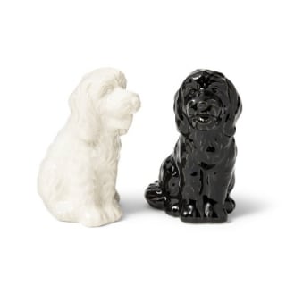 Salt and Pepper Set Tabitha Brown