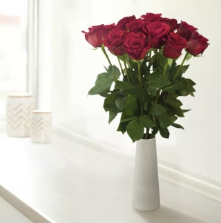 Dozen Fresh Cut Premium Red Roses