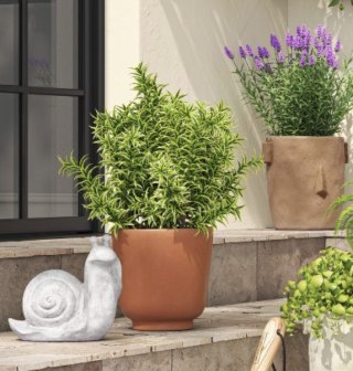 Terracotta Outdoor Planter