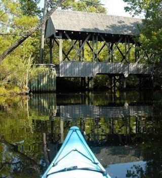 Kitty Hawk Maritime Forest Kayak Tour