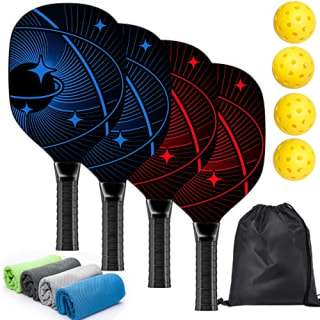 Pickleball Set
