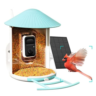 Birdfy Lite- Smart Bird Feeder
