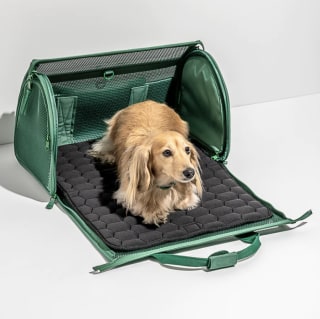 Wild One Travel Carrier