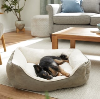 Frisco Rectangular Bolster Cat & Dog Bed