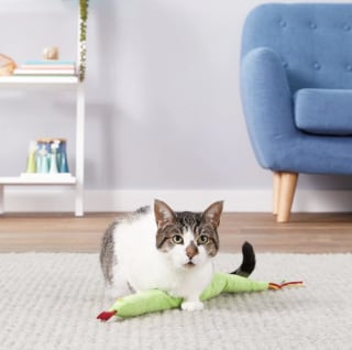 Imperial Cat Slither 'N Snake Catnip Cat Toy