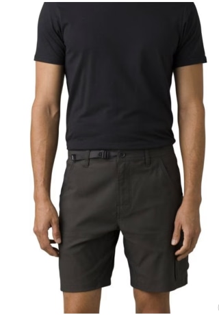 Stretch Zion 10" Inseam Shorts