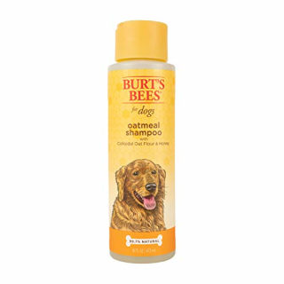 22 best at home dog grooming products according to experts