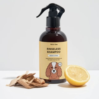 Wild One Rinseless Shampoo