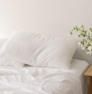 Cozy Earth Bamboo Sheet Set