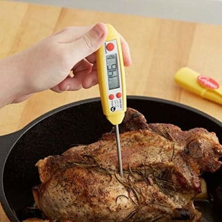 Cooper-Atkins DPP800W MAX Digital Thermometer with Long Probe, Long Probe Thermometer (Waterproof Thermometer, Auto Shutoff, Temperature Memory)