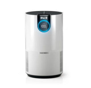 Air Purifier with True HEPA