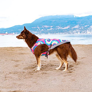 Canada Pooch Chill Seeker Cooling Vest