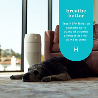 HoMedics TotalClean PetPlus 5-in-1 Air Purifierwith UV-C Light