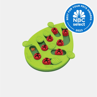 Catstages by Nina Ottosson Buggin’ Out Puzzle & Play