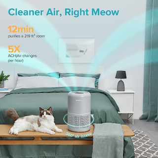 LEVOIT Pet Air Purifiers for Allergies in Home Bedroom, Hepa and Efficient Activated Carbon Filter for Hair Dander Odors, Captures Smoke, Dust, Mold, Pollen, Pet Lock, Sleep Mode, Core P350, Grey