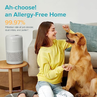 LEVOIT Pet Air Purifiers for Allergies in Home Bedroom, Hepa and Efficient Activated Carbon Filter for Hair Dander Odors, Captures Smoke, Dust, Mold, Pollen, Pet Lock, Sleep Mode, Core P350, Grey