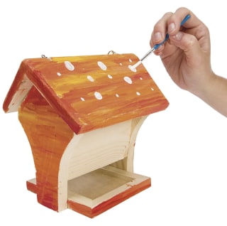Beetle & Bee Bird Feeder Kit