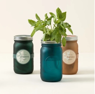 Mason Jar Indoor Herb Garden