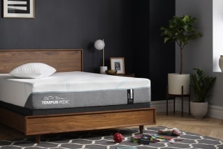 TEMPUR-Adapt(R)