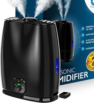 Everlasting Comfort Cool Mist Humidifier