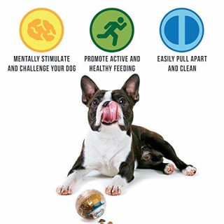 Pet Zone IQ Treat Ball