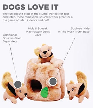 Outward Hound Hide A Squirrel Dog Toy Puzzle