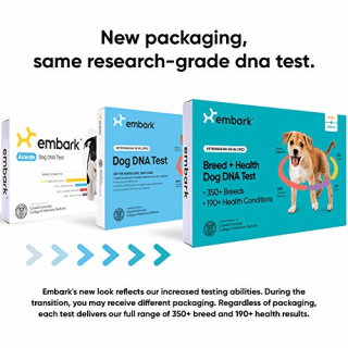 Embark Dog DNA Test