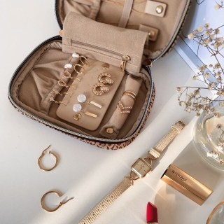 Small Travel Jewelry Organizer