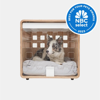 Fable Dog Crate 