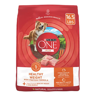 Purina ONE + Plus Adult Dry Dog Food