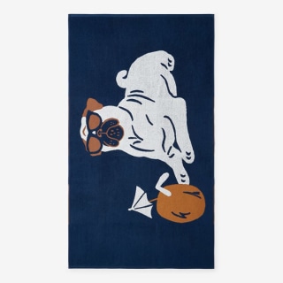 The Company Store Cotton Terry Beach Towel