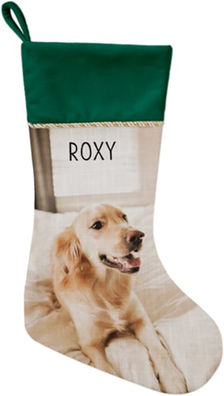 Shutterfly Pet Photo Stocking