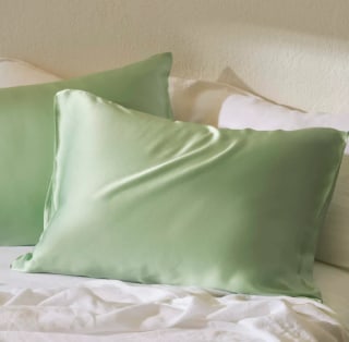 Mulberry Silk Pillowcase