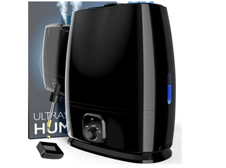 Everlasting Comfort Cool Mist Humidifier