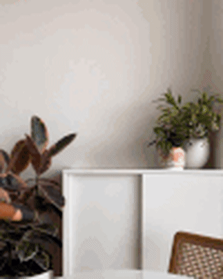 Reclaim Joy Gift Wrap