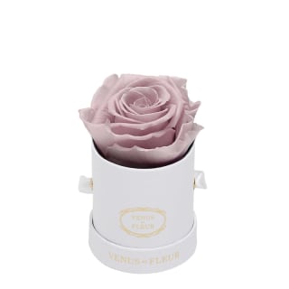 Venus et Fleur Le Mini Round