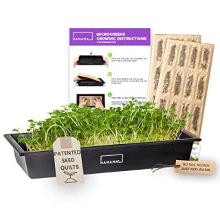 Microgreens Growing Kit
