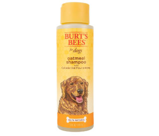 12 Best Dog Shampoos According to Experts NBC Select