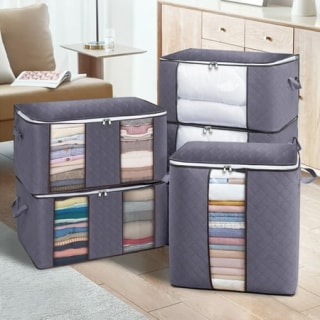 Closet Organizers and Storage Bags