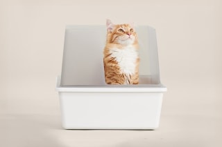 Tuft+Paw Cubby Litter Box