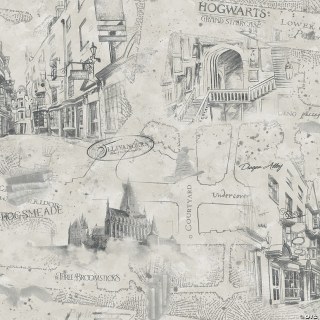 "Harry Potter" Map Peel & Stick Wallpaper