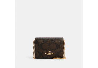 Mini Wallet On A Chain In Signature Canvas