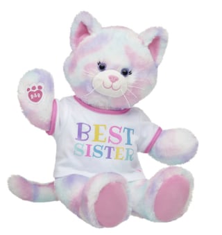 Pastel Swirl Kitty Best Sister Gift Set